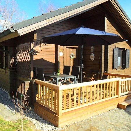 Komfortables-Ferienblockhaus-Nr-27-56-Qm-Bis-4-Personen-Viechtach-Jaegerpark Εξωτερικό φωτογραφία