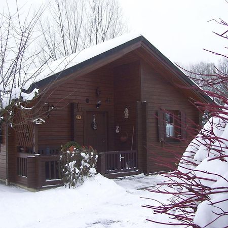 Komfortables-Ferienblockhaus-Nr-27-56-Qm-Bis-4-Personen-Viechtach-Jaegerpark Εξωτερικό φωτογραφία